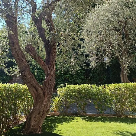 Spacious With Garden And Pool
